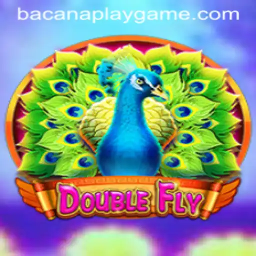 DoubleFly: The Future of Interactive Gaming